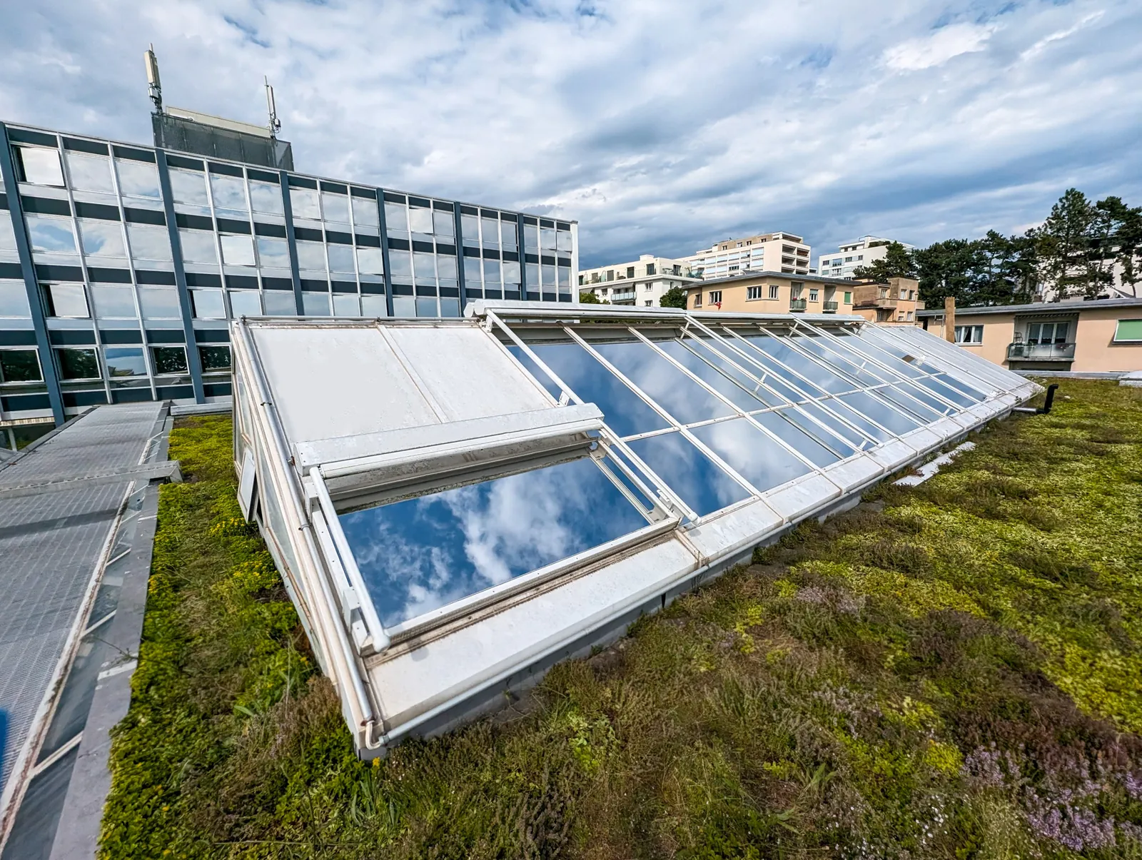Film pour vitrage de bâtiment – Protect Films